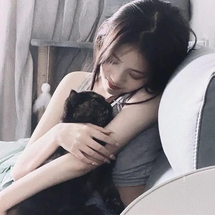 再见了,亲爱的总统